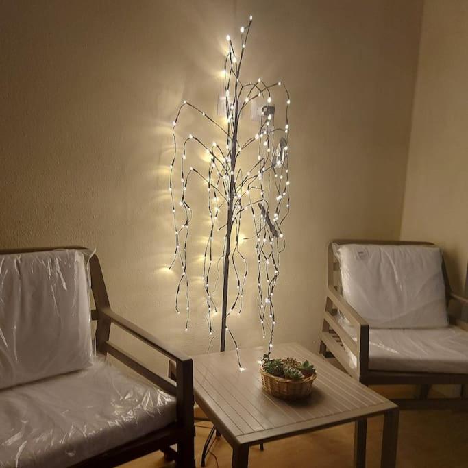 Apartment Monolocale Nuova Costruzione Con Giardino